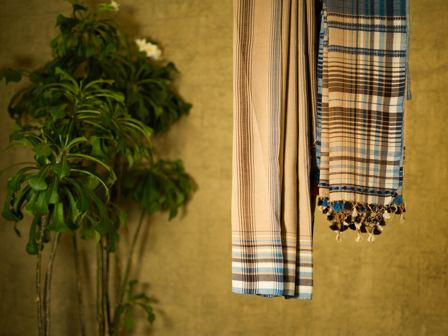 BEIGE BLUE BHUJODI SARI