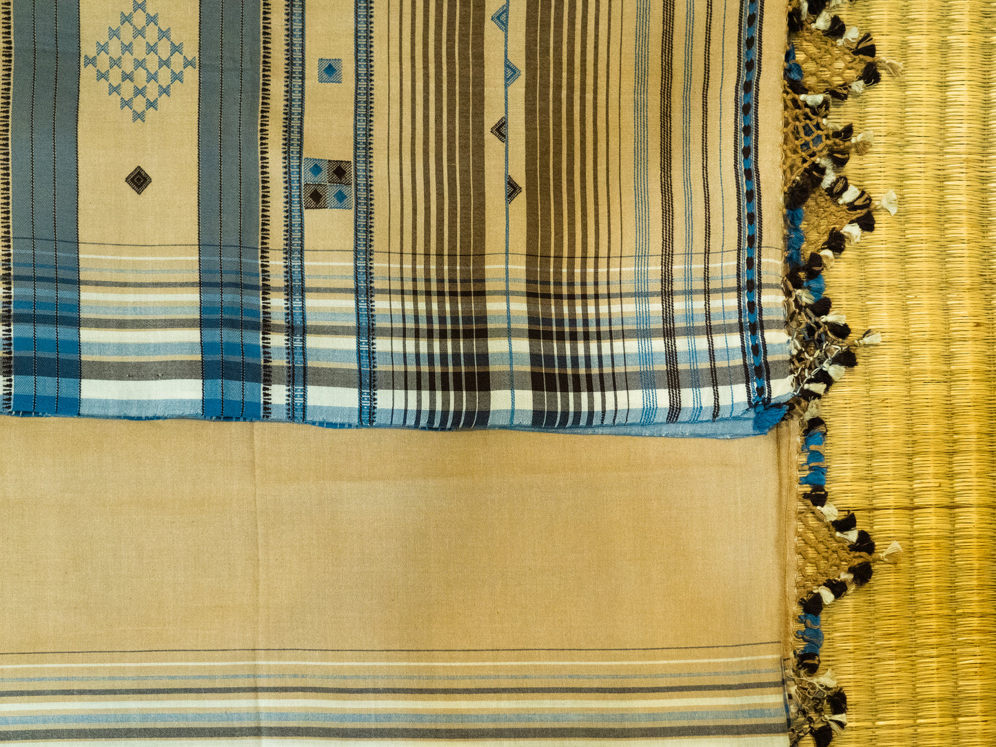 BEIGE BLUE BHUJODI SARI